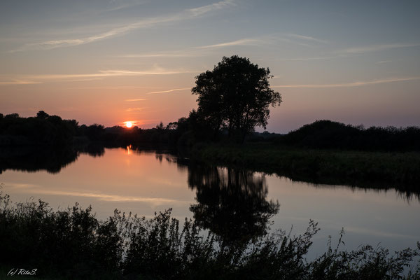 ...an der Wümme im Blockland