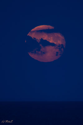 zwei Nächte nach Vollmond, Grömitz August 2025