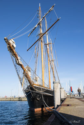 Großsegler in Eckernförde