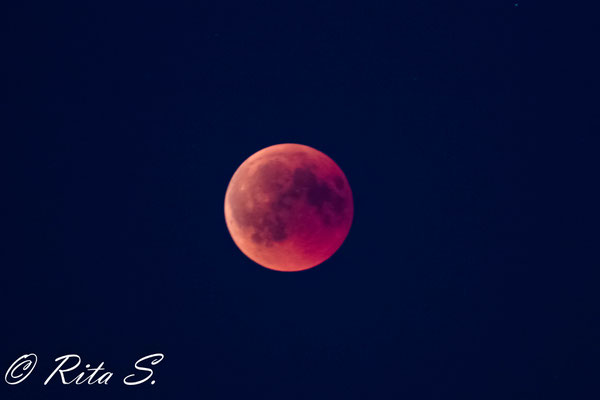 Der Mond während der Mondfinsternis - in Bremen war dieser nur sehr leicht schemenhaft in rötlicher Färbung zu sehen