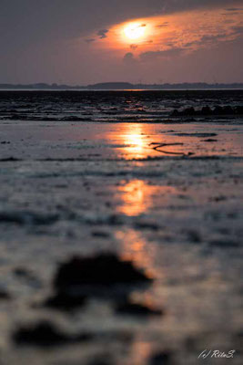 Sonnenaufgang über dem Watt