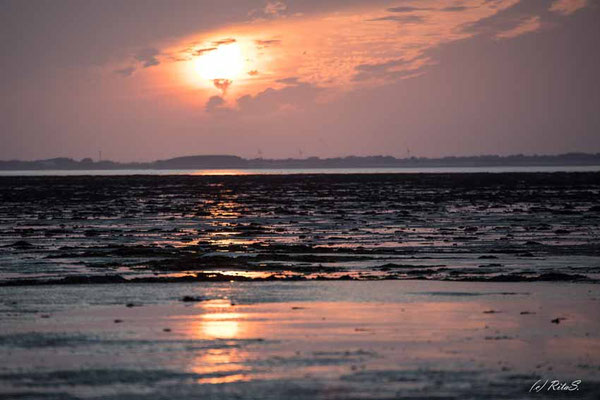 Sonnenaufgang über dem Watt