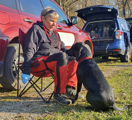 Japankäfer; Spürhunde; Popillia japonica;