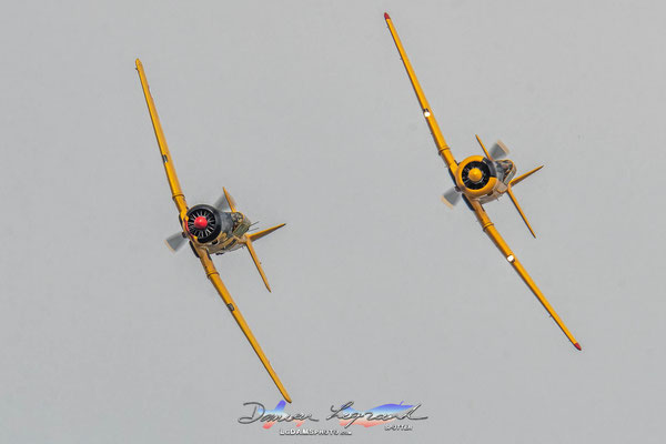 Patrouille de T-6 G Texan / F-AZBQ F-AZCV