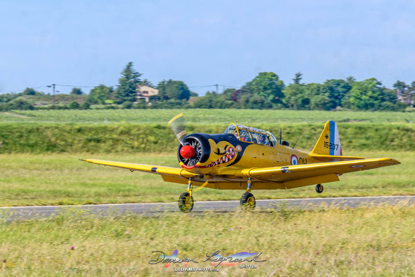 Atterrissage du T-6G Texan aux couleurs de l'Armée de l'Air piloté par Mr Jack Krine / F-AZBQ