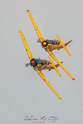 Patrouille de T-6 G Texan / F-AZBQ F-AZCV