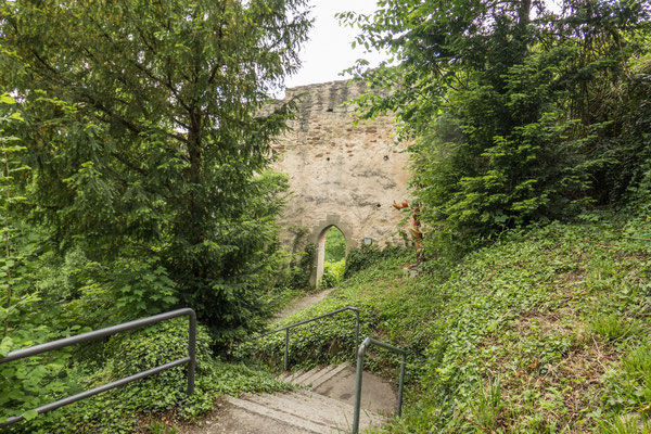 © Traudi - 2019 - Hier gehts hinauf zur Schlossruine