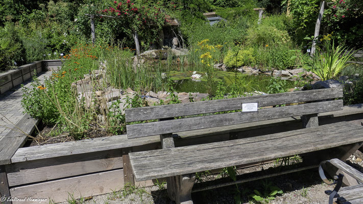 Im Klostergarten Lioba am Seerosenteich