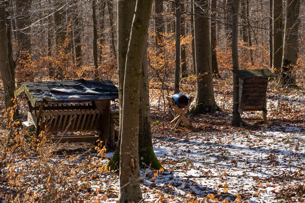© Traudi - Futterstelle beim Hochstand