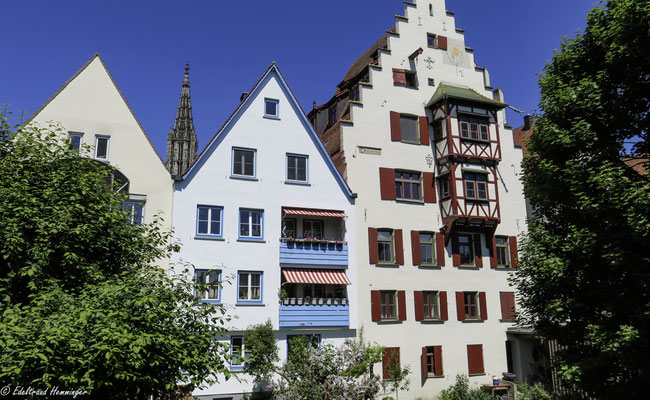 Häuserfront, die man auf der Stadtmauer gut sehen kann