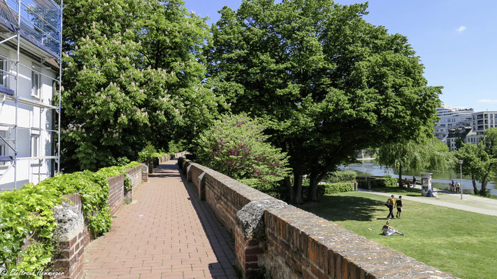 oben angekommen: Rundgang auf der Stadtmauer