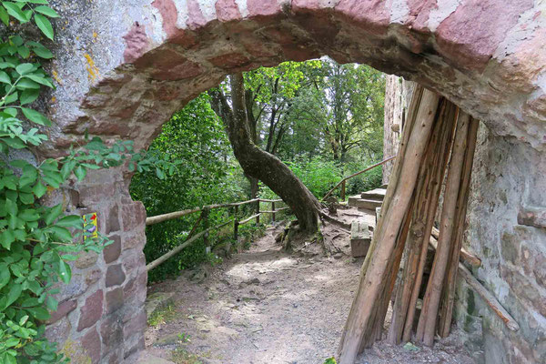 © Traudi - außerhalb der Mauer