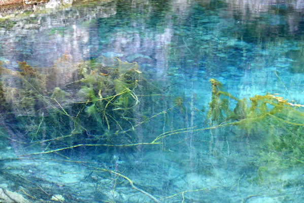 © Traudi - Bei guten Lichtverhältnissen leuchtet das Wasser in den schönsten Grün- und Blautönen.