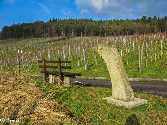 in den Weinbergen