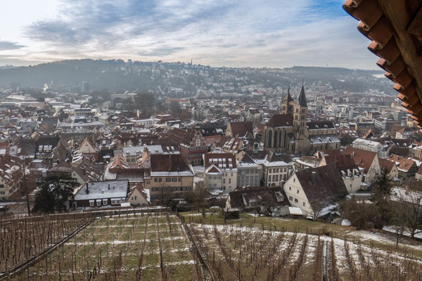 © Traudi - Sicht auf den Marktplatz: Altes Rathaus und Münster St. Paul (2017)