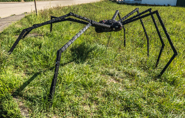 © Traudi - Die schwarze Spinne. Spinnen machen überall Netze. Man kann sie auch „Traumfänger“ nennen.