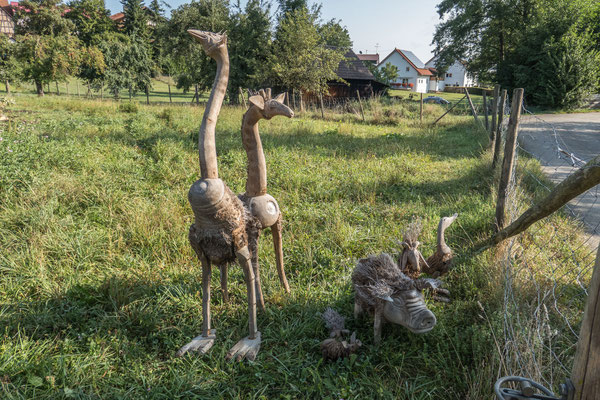 © Traudi - aus Bambuswurzeln von Asiaten gefertigt: Strauß, Giraffe, Ziege, Ente, Hausschwein mit Ferkeln