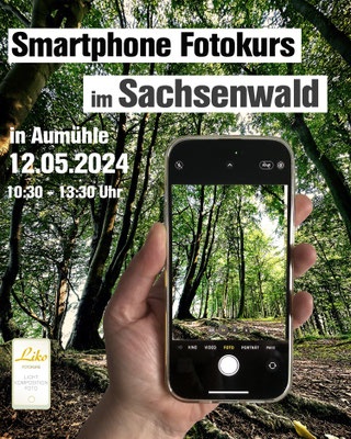 Smartphone Fotokurs am 12.05.2024 im Sachsenwald in Aumühle. Einführung in die Smartphone-Fotografie und die technischen Möglichkeiten lernst Du die ersten effektiven Einstellungen Deiner Kamera kennen und schon geht es raus in den Wald.
