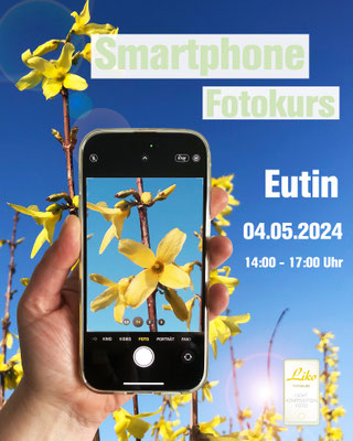 Smartphone Fotokurs am 12.05.2024 im Sachsenwald in Eutin. Wir zeigen Dir wie Du mit einfachen Mitteln Deine Fotos verbessern kannst