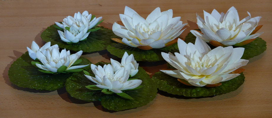 Seerosen 24 cm. 24 Stück mit einer Blüte - 24 Stück mit zwei Blüten. Fr. 60.-