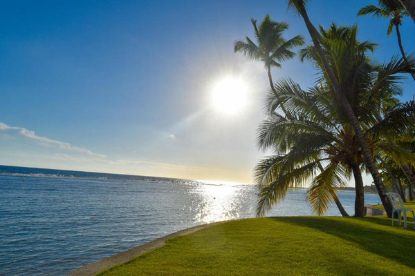 SOLO VACATION WITH SEX GUARANTEED