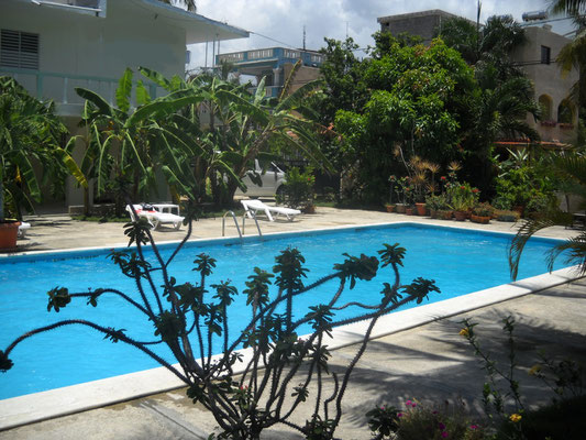 SOLO VACATION WITH SEX IN DOMINICAN REPUBLIK ; CARIBBEAN PARADIES