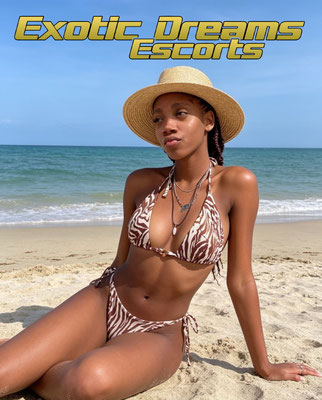 Sexy Escort Mädchen für deinen Singleurlaub in der Karibik. So etwas gibt es nur bei Singlereisen Exotic Dreams, in der Dominikanischen Republik.