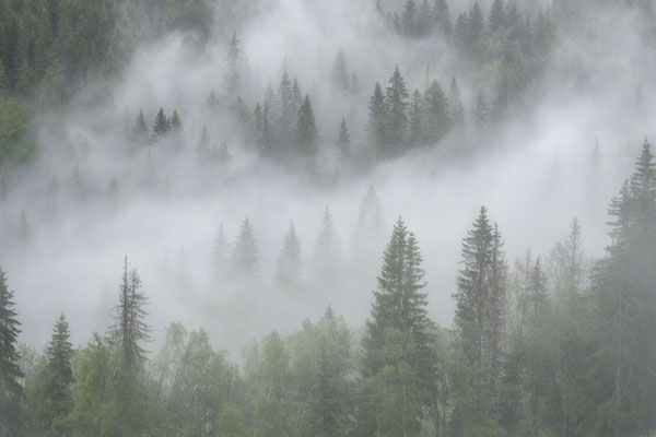 Hemsedal - Noorwegen © Jurjen Veerman