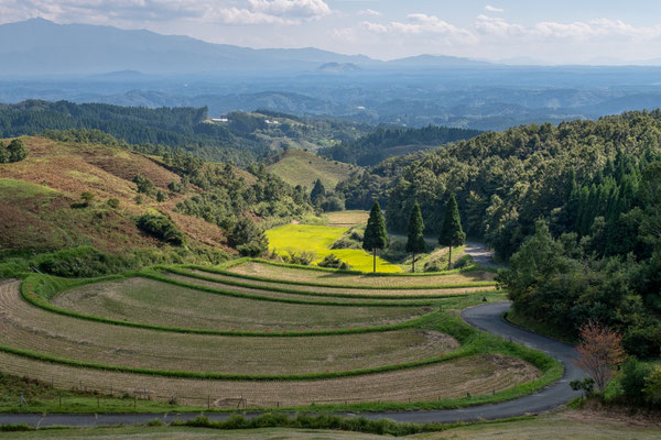 Rijstvelden Ubuyama - Japan