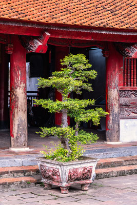 Tempel Hanoi - Vietnam © Jurjen Veerman