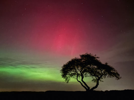 Aurora borealis boven Drenthe - 19 januari 2026