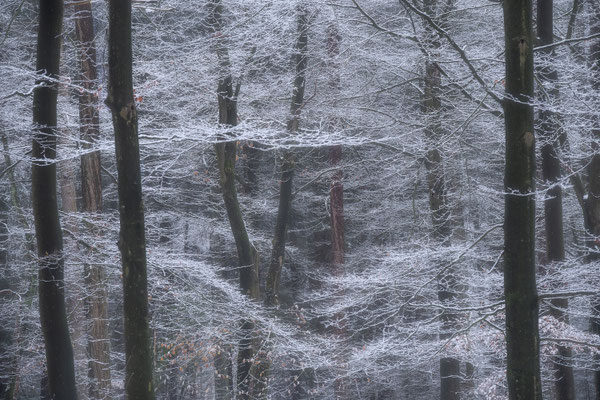 Rijp aan bomen © JurjenVeerman