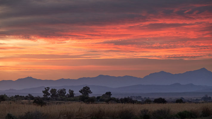 Oudtshoorn