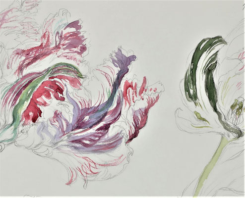 絵画 「シロツメクサ」作者 H.K 詳細不明 子山羊の新世紀」 0号 笹本正明 子山羊の新世紀」 0号 笹本正明