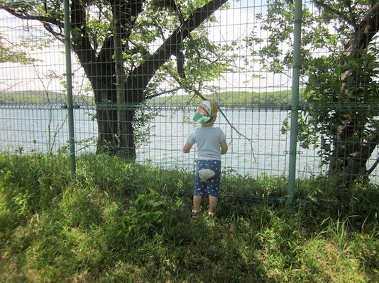 湖もタプタプしとったで。