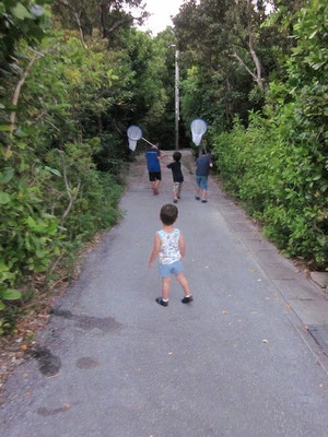 早速ヨータは宿の子たちとヤドカリ狩りへ