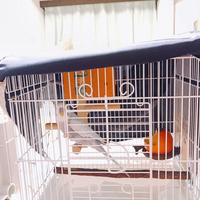 おやすみ カバー(鳥かご インコ ケージ カバー)評判・口コミ6 おやすみ カバー(鳥かご インコ ケージ カバー)評判・口コミ6