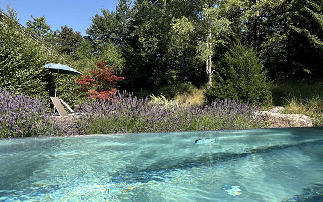 Outdoor-Pool mit temperiertem Wasser.