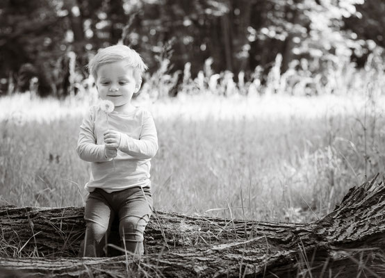 Dieses Bild zeigt einen kleinen Jungen im Wald auf einem Baumstamm sitzend mit einer Pusteblume in den Händen in schwarz weiß.