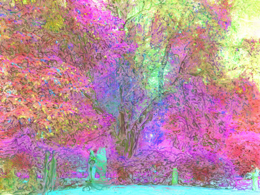 Baum in Frühling - Die Villa dei Cedri in Bellinzona (rosa)