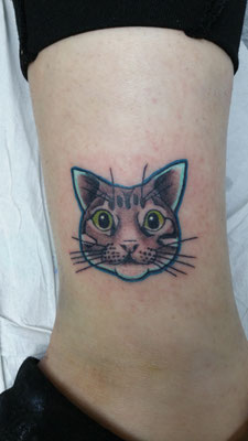 cat tattoo, tattoo gato