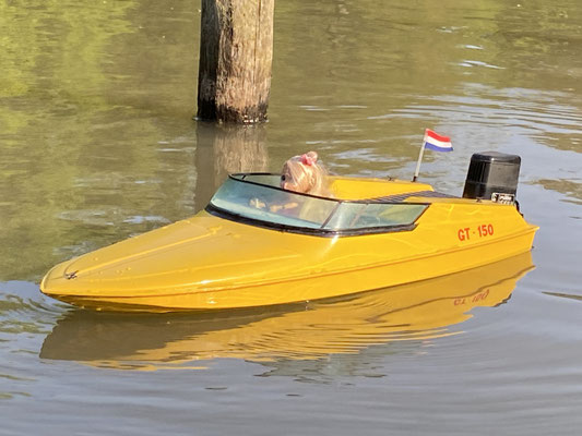 Prinzess - Robbe