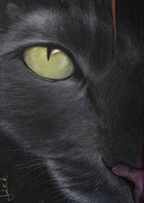 01450023 "Chat noir": Acryl auf Leinwand 100 x 70 x 4 cm