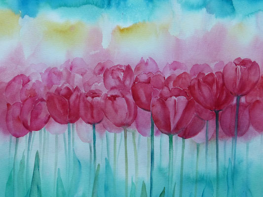 Tulpenfeld 40x50