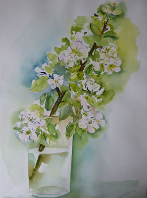 Apfelblüten 40x50