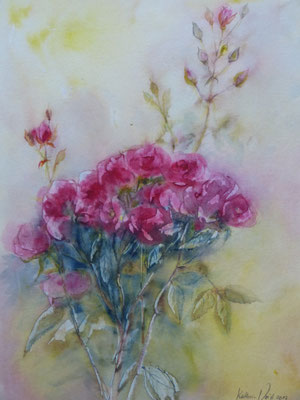 Rosenzweig 40x50