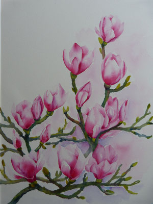 Magnolie 50x70