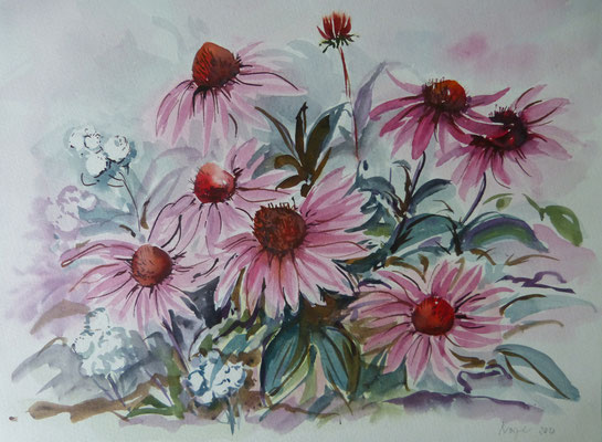 Sonnenhut 30x40