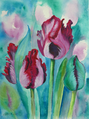 Tulpenpracht 50x70