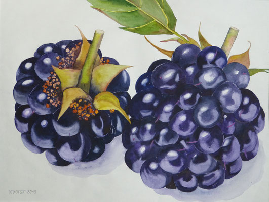 Brombeeren 40x50